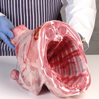 Shoulder – half – bone-in Meat Cut Spec Step 1